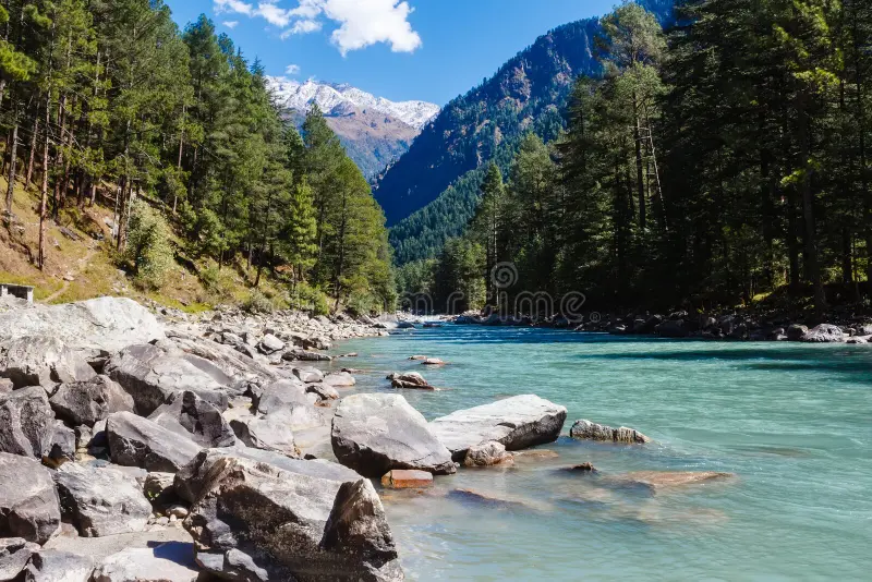 river-valley-mountains-covered-forest-kasol-himachal-pradesh-india-50774125